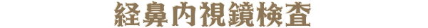 経鼻内視鏡検査